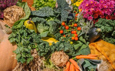 Effortless Abundance
