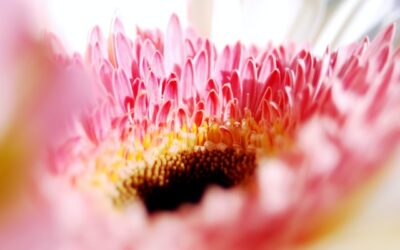 Sensual Living – More Ways To Live A Creative Life