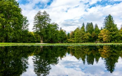 The Art of Chillin’ – Balm For The Soul